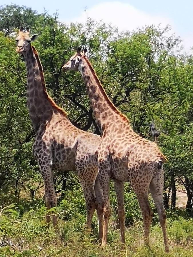Boulders Safari Lodge 马里兰 外观 照片